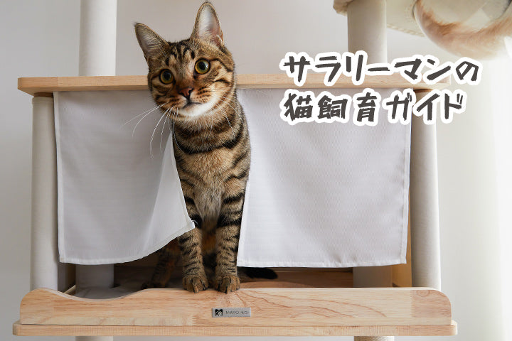 サラリーマンの猫飼育ガイド